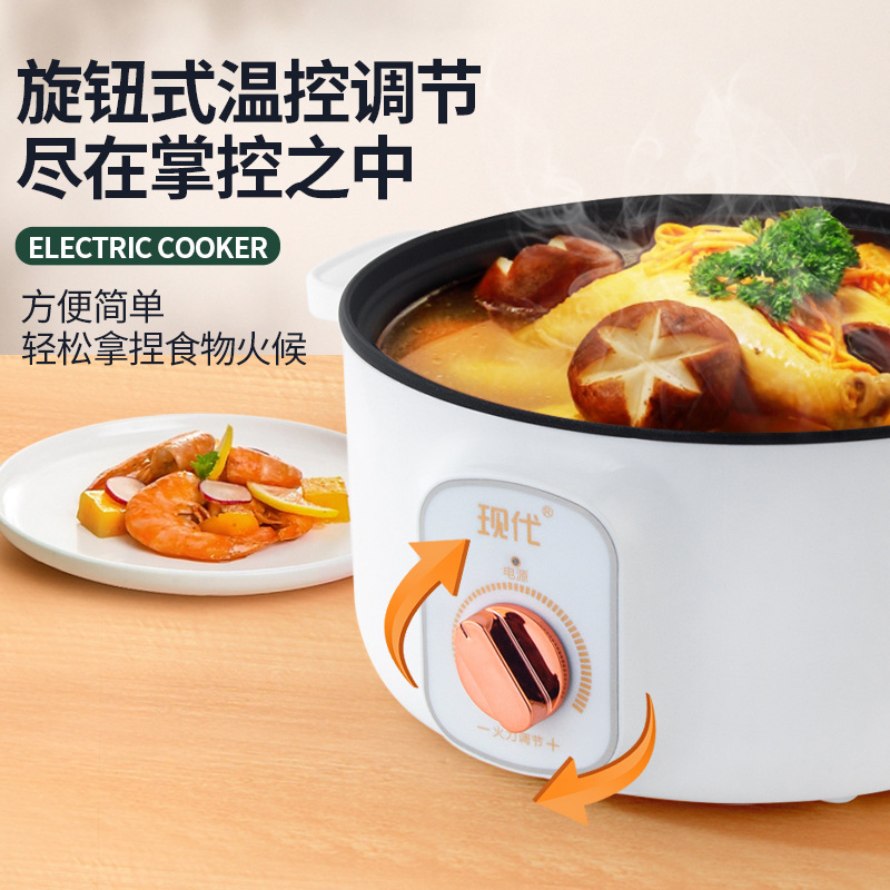 Mini pentola elettrica multifu - Home Cooking Appliances recensione e prezzo